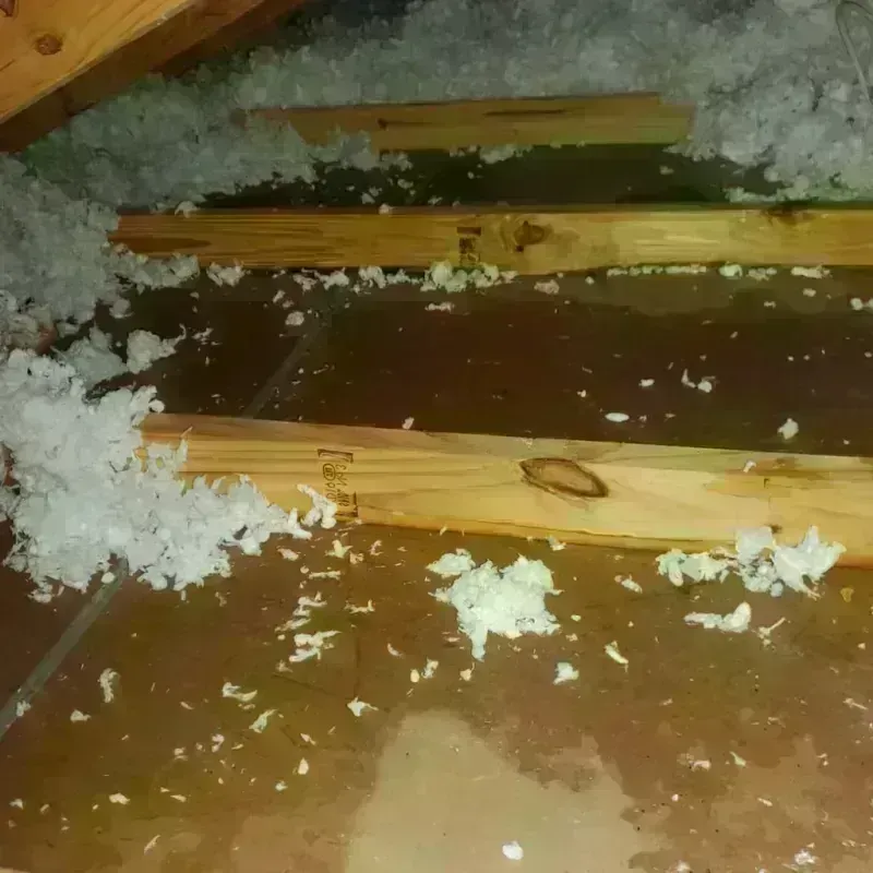 Attic Water Damage in Valley County, NE