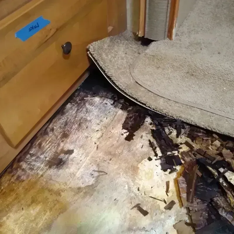 Wood Floor Water Damage in Valley County, NE